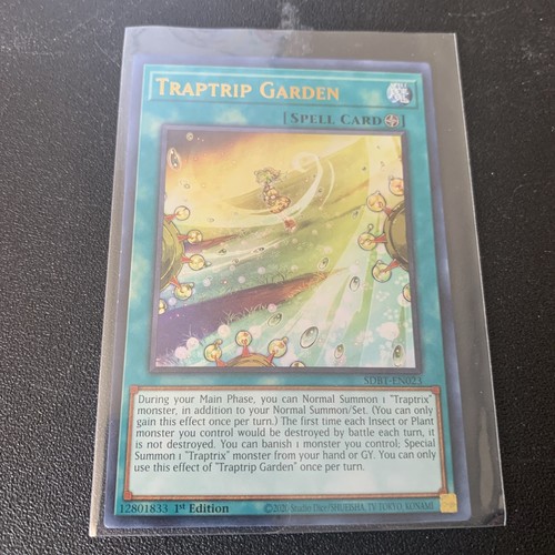 Traptrip garden 2020 - traptrip,