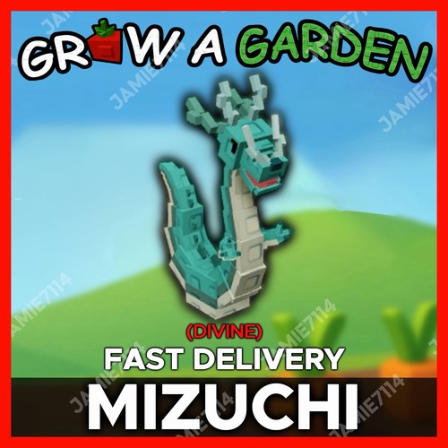Mizuchi più economico - |,