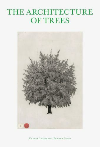 The architecture trees by - the, of