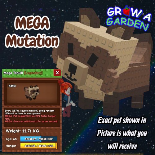 Mega tanuki pet età - mega,