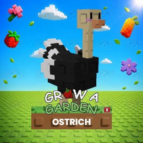 Struzzo coltiva un - un, giardino