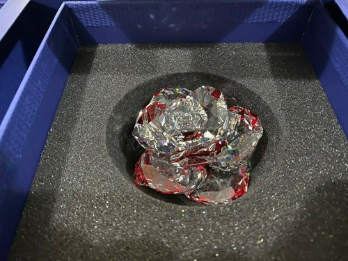 Cristallo swarovski nel - cristallo,