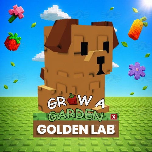 Golden lab coltiva un - -,