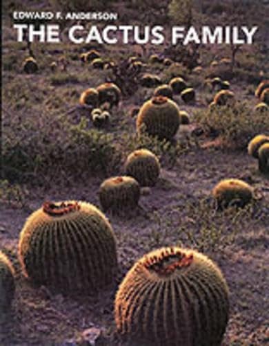The cactus family - cactus,